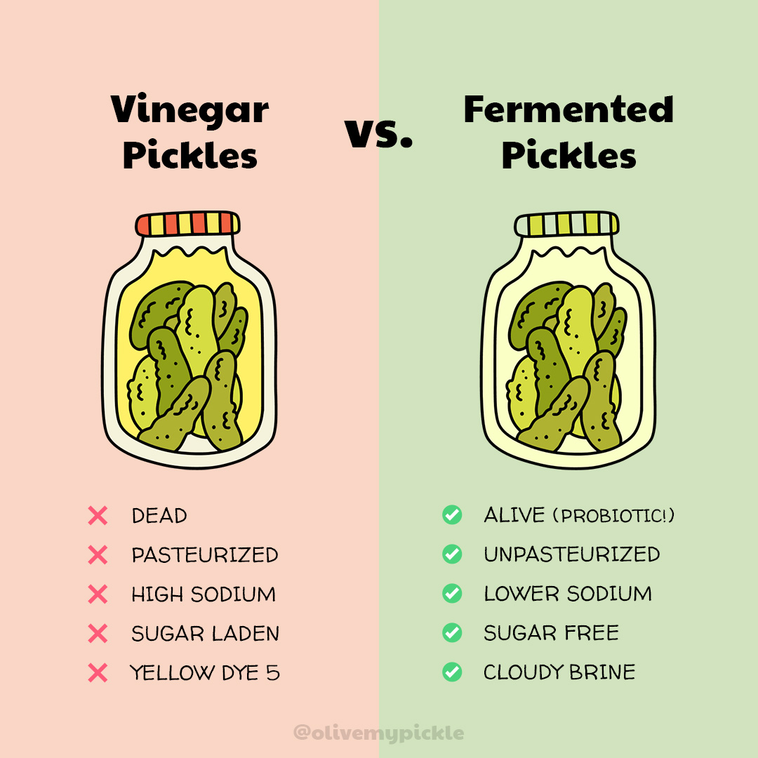 Vinegar vs Fermented content graphic
